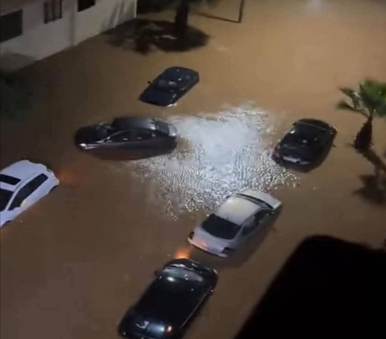 FB-IMG-1766587144169