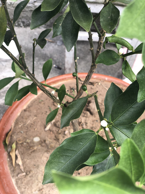 微信图片_20240909164912