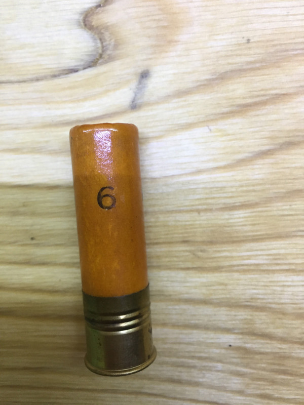 CA04001B-7FEA-40B7-837B-826B77D732B3