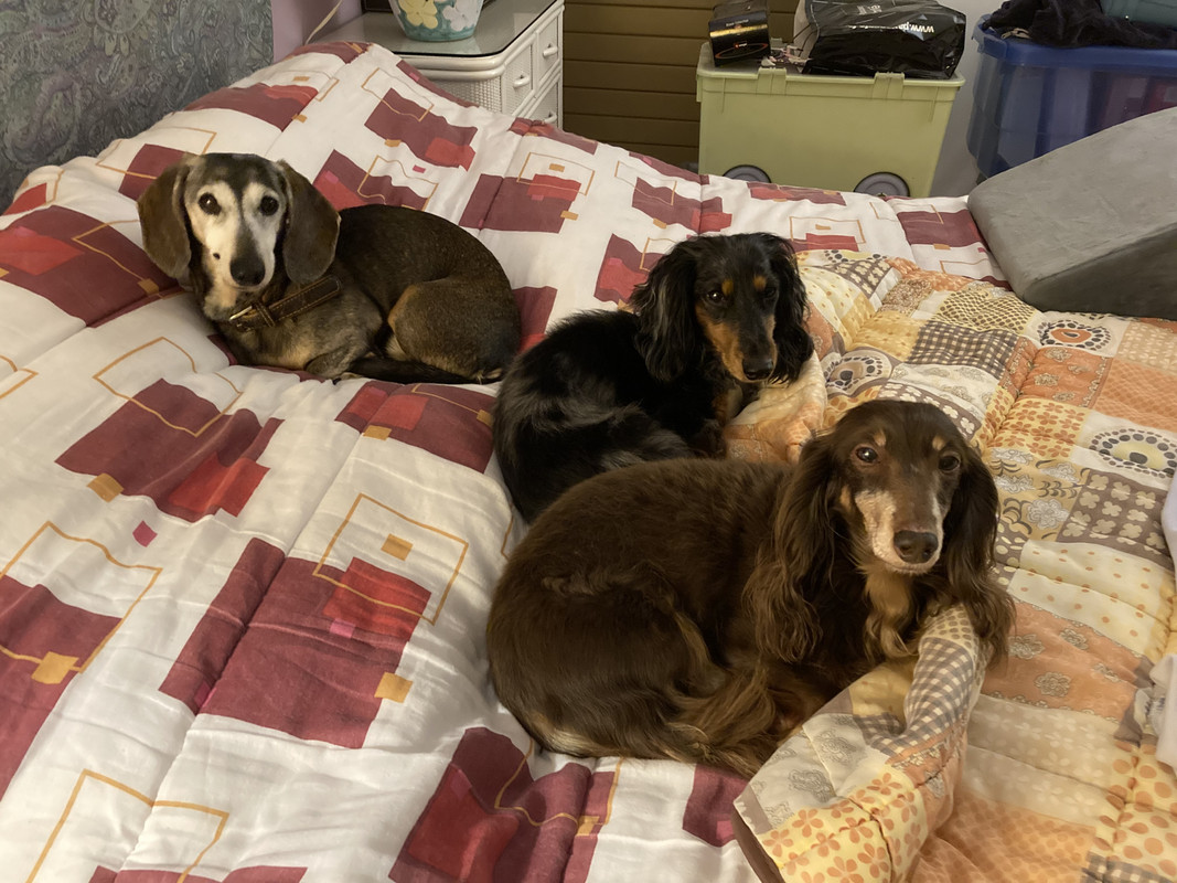 [Image: IMG-4109.jpg]