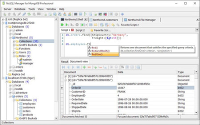 NoSQL Manager for MongoDB Pro 5.0.0.6