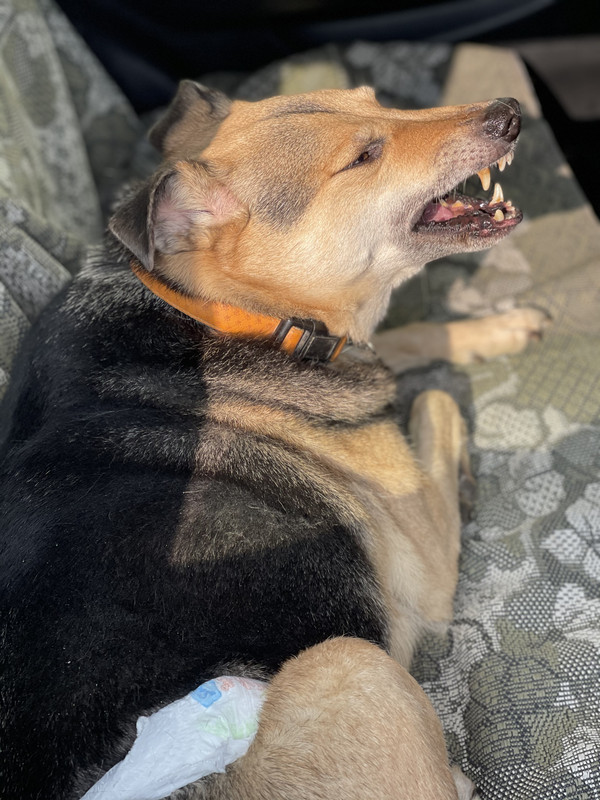 FC717D5E-B8AA-455E-BE9F-F83EF4DC3EBF