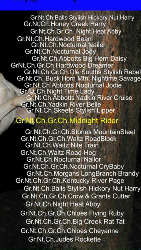 132D684A-E685-4843-BFB7-56B05F081258