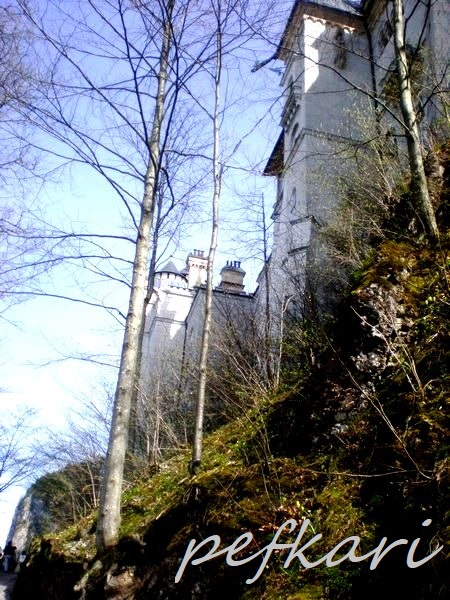 Slika