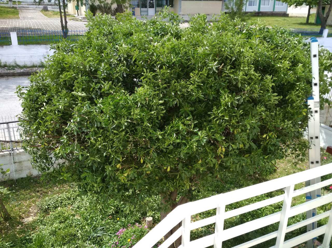 53FB7235-FDA8-4D09-9E44-03219C9D5A10