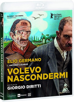 Volevo Nascondermi (2020) .mkv iTALiAN Bluray 1080p x264