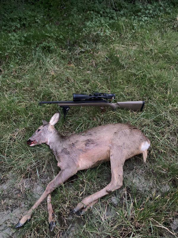 7A8B8367-3920-4534-84B2-F9414632F65D