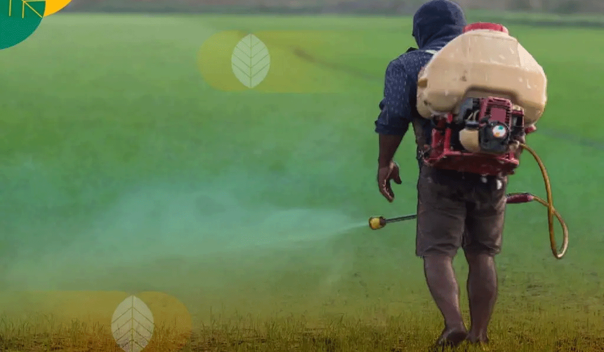 Smart Solutions To Control Pests Without Harming The Environment