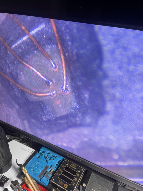 photo_2025-08-19_16-23-31