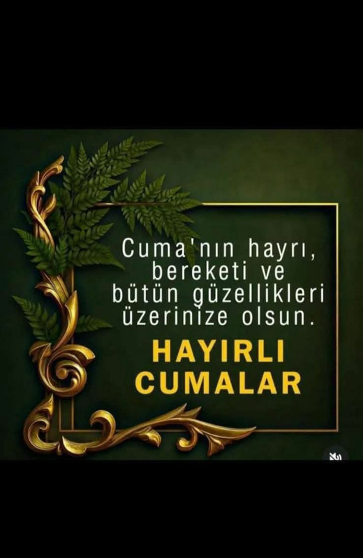 FB IMG 1766094241266