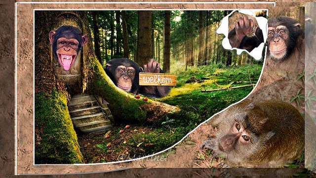 44349840-2256919644541210-4370542588512436224-n