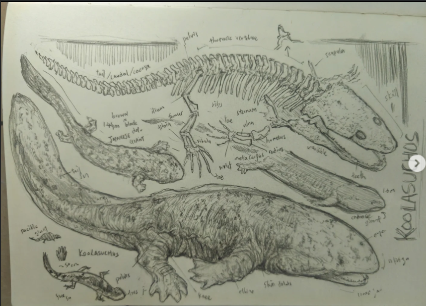 By whalerain0102: https://www.instagram.com/p/DRGCUCwEwJe/?img_index=1