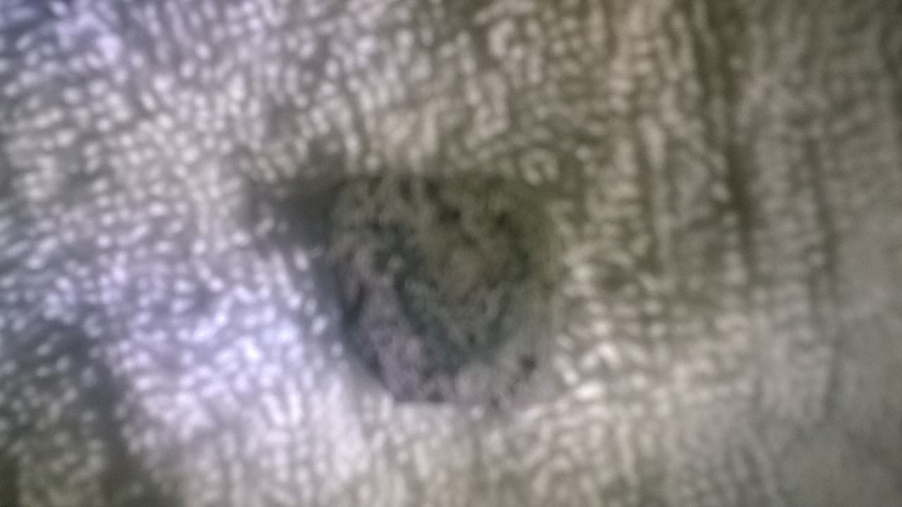 WP_20160428_20_17_01_Pro