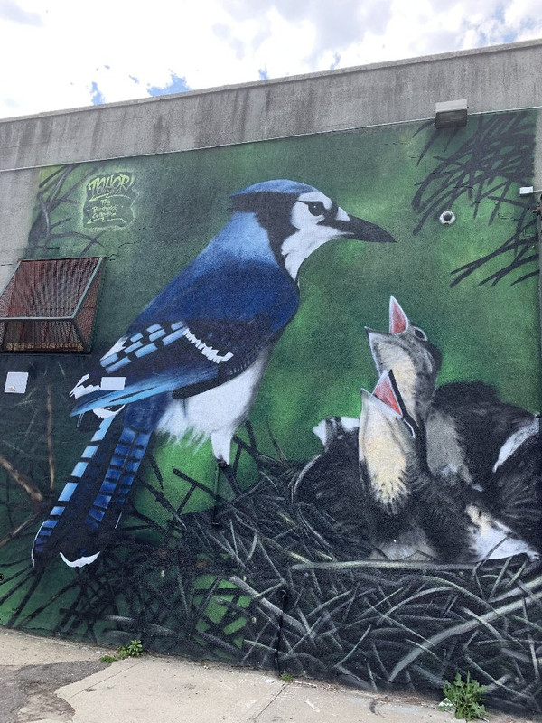 6D101C69-A7E9-4A7A-B018-A29F680DC747