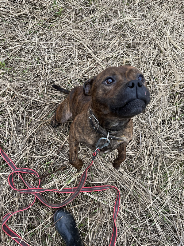 image-09-04-23-05-26-17 (1)