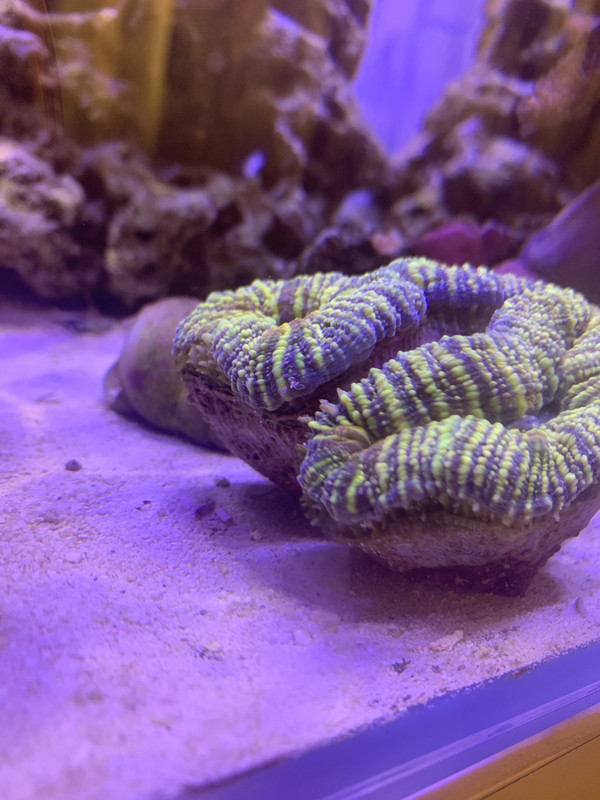 2EF50E70-B33D-4D0C-957C-AFCA69B38FE9