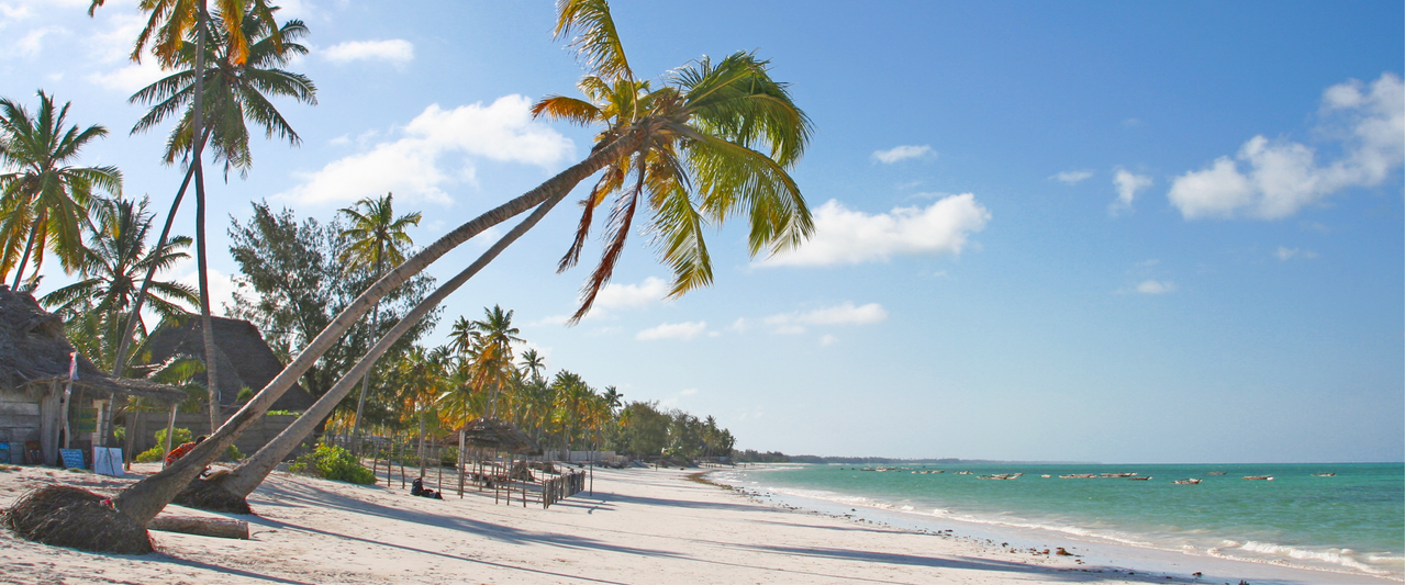 Zanzibar white sand beach