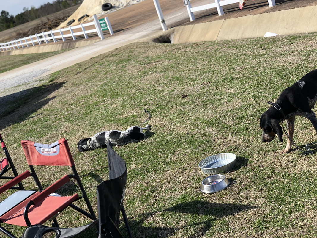 70A58CD8-3E04-46A6-9815-96FAACDFBAE1