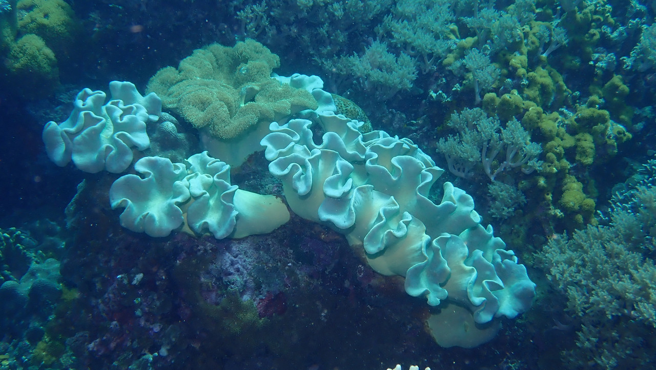 D114E687-145F-4AEC-9A04-56161A7D8172