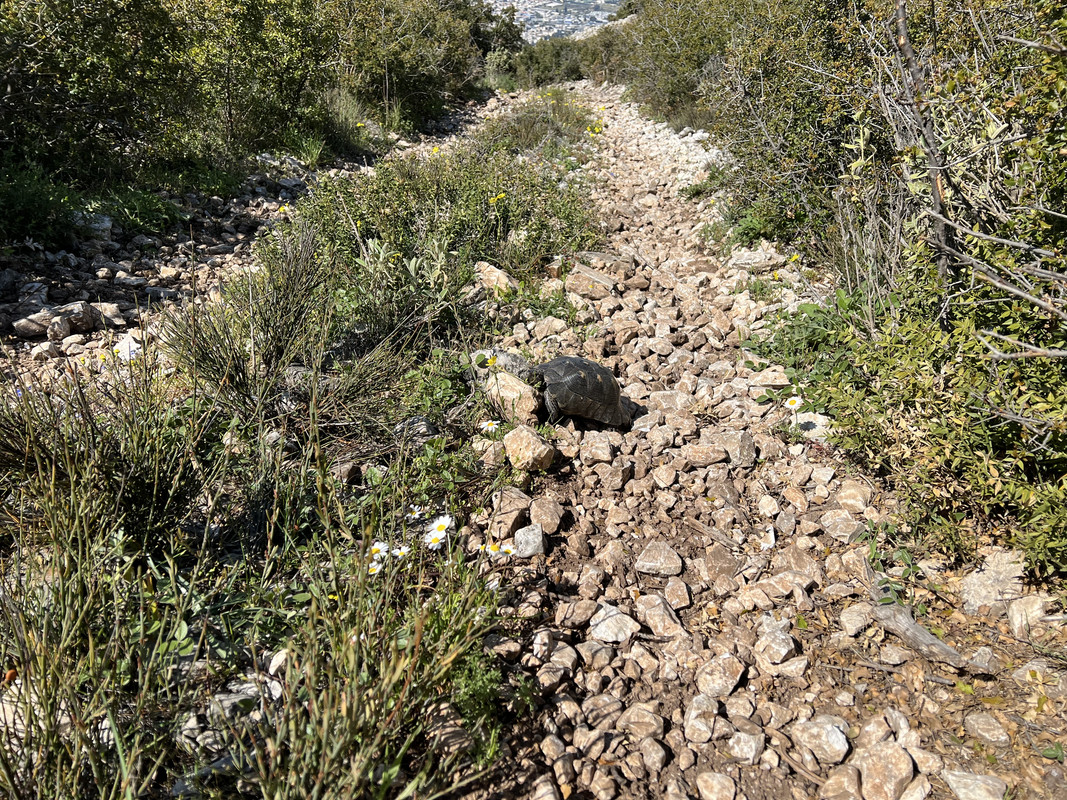 DC960AA9-9BD7-4908-B3E5-3D78546B139C