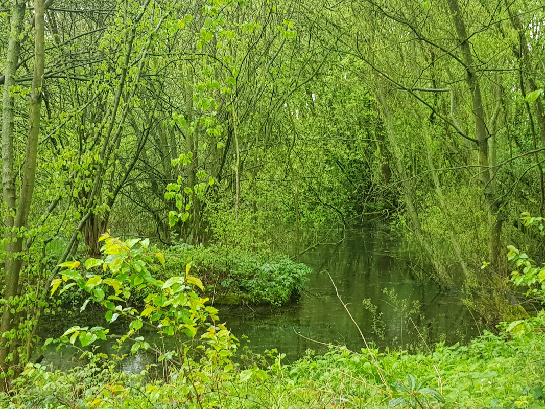 20180428_152231
