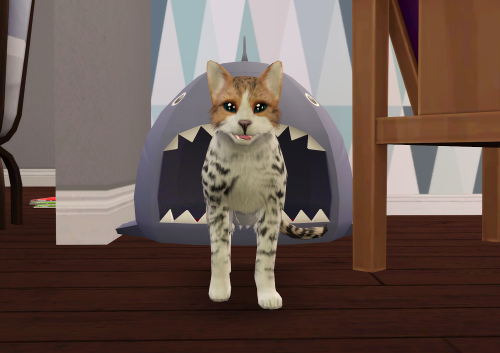 Sims2-EP9-RPC-2021-12-22-21-18-44-87