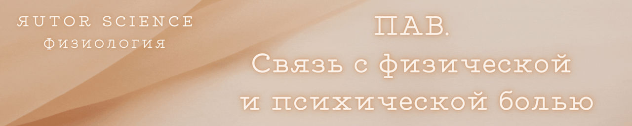 NN.gif