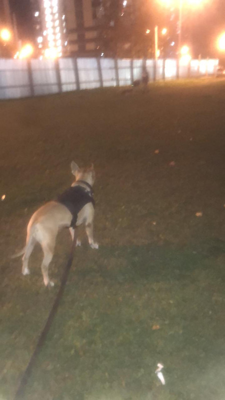 3E7CD458-B0C2-4277-AF75-677D30470022