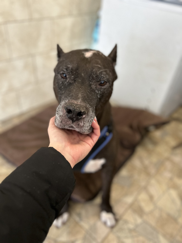 4032FD52-0B16-42CF-A173-A28BA5C6DAFA