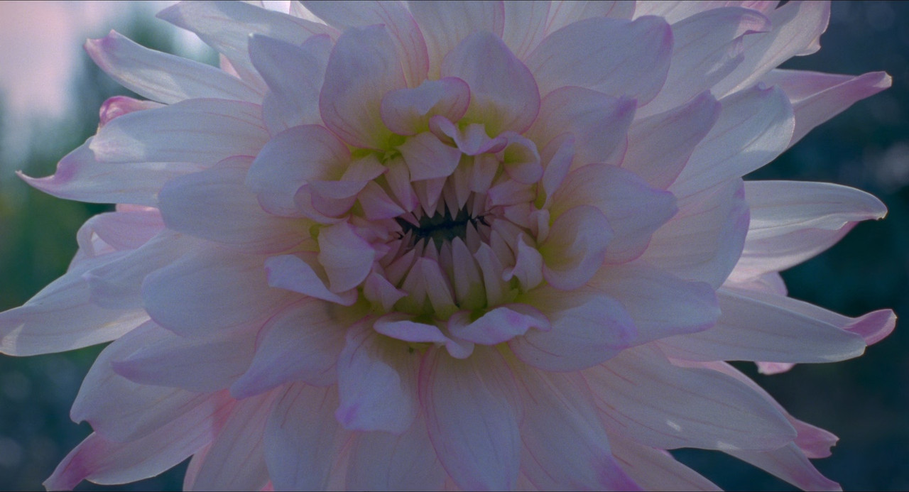 Voyage of Time - Life's Journey 2016 (1080p x265