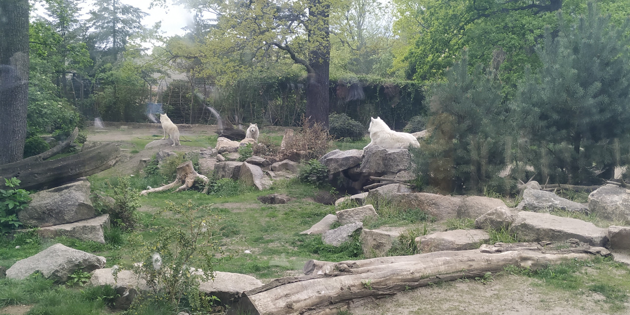 IMG_20190509_123434[1]