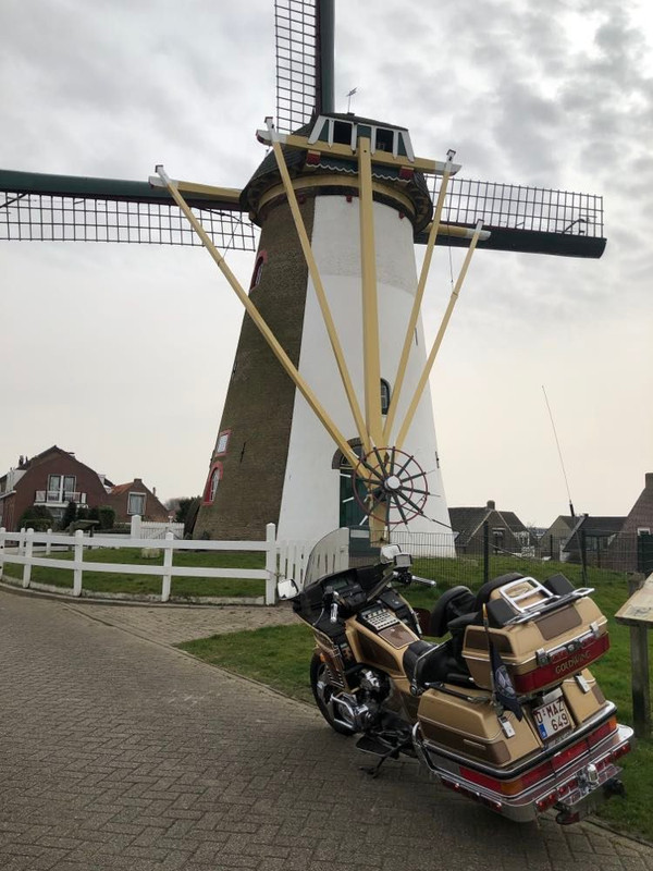 16-03-2022 Daar bij die molen.