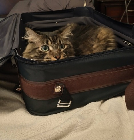 Junior-travellerd6f326498.jpg