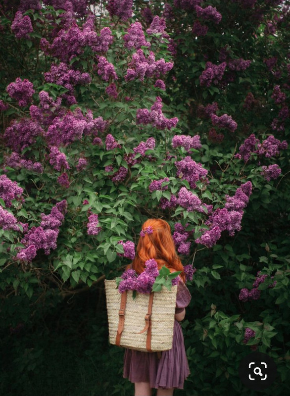 Screenshot_20240514_202937_Pinterest