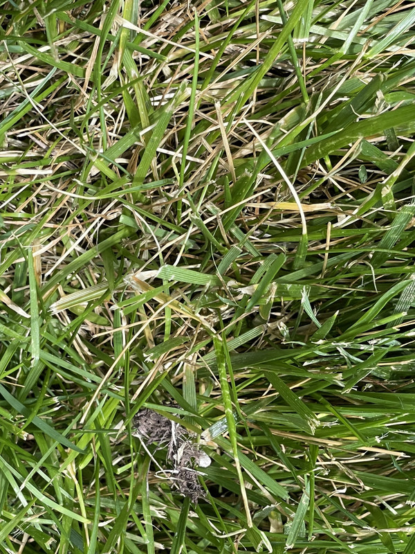 CF633EB0-BEF9-4D3D-B9E1-49F2021AA349