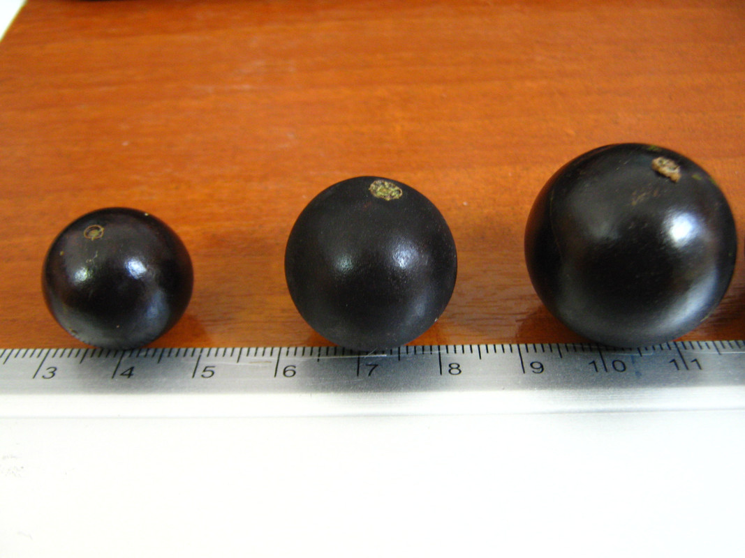 jaboticaba_fruits-20140829T135230