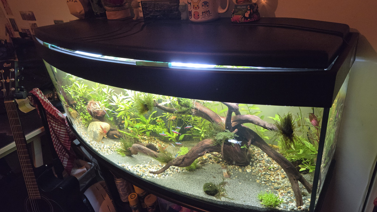 17629704564343135625503400277876