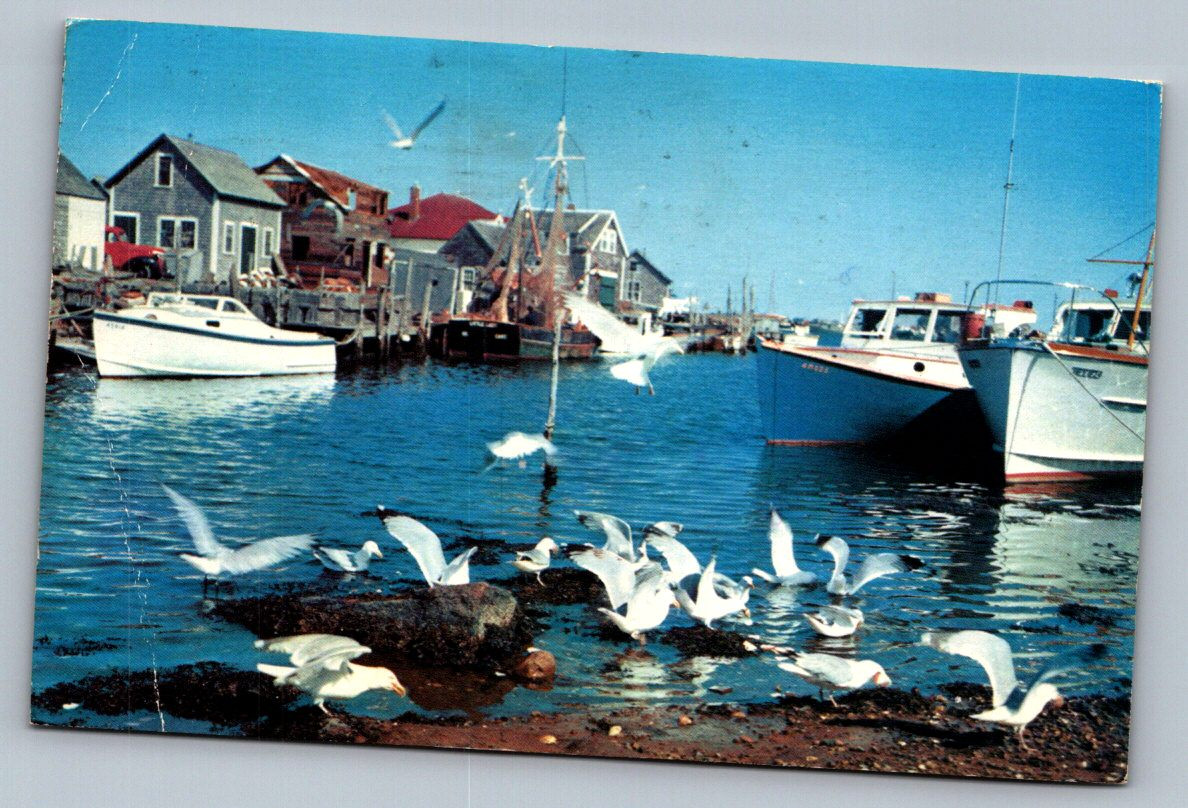 Postcard 0319262 0141