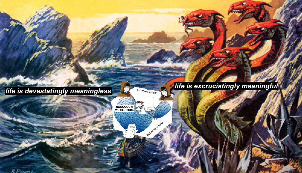 1706446152572403.jpg