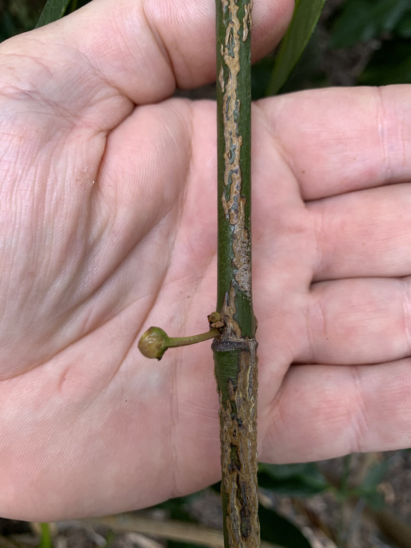 26480875-4490-47F0-BD6B-A7FDD2FA3DD2