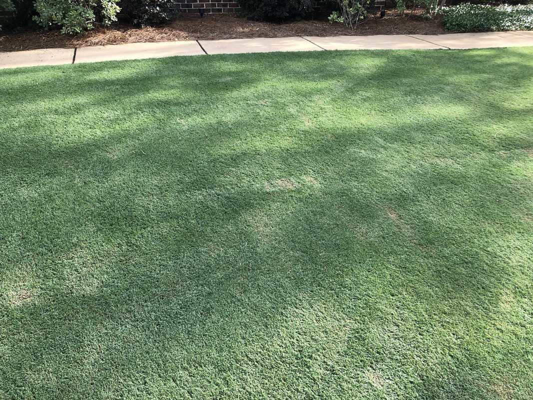 EDA49B7A-6181-4AB0-8B89-BD43AC2D2F0A