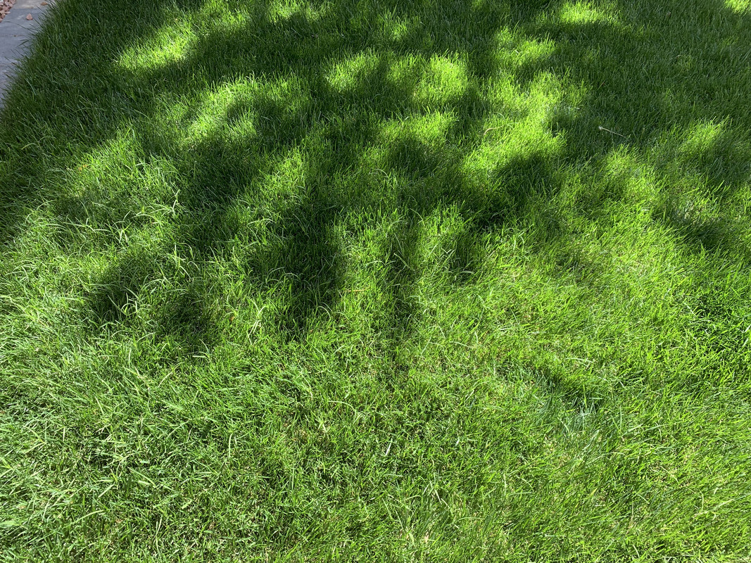 B17415C9-67C8-496C-BCDD-7ADD9C49DE81