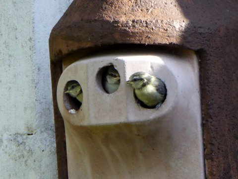 CAA8F20E-6791-49CF-ACD8-8683230BA65B