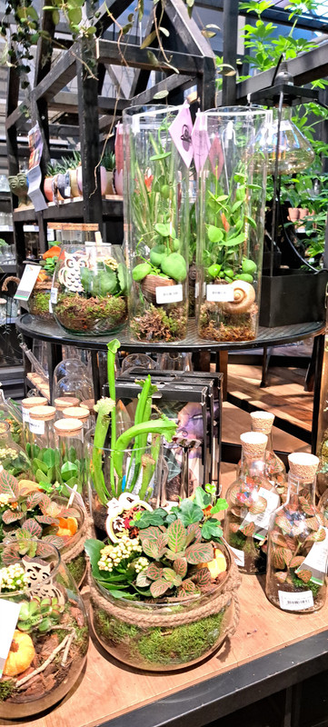 [Image: 20231012-171959.jpg]