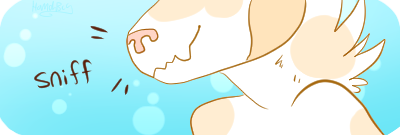 Wet-nose.png