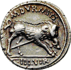 Glosario de monedas romanas. JABALÍ. 1