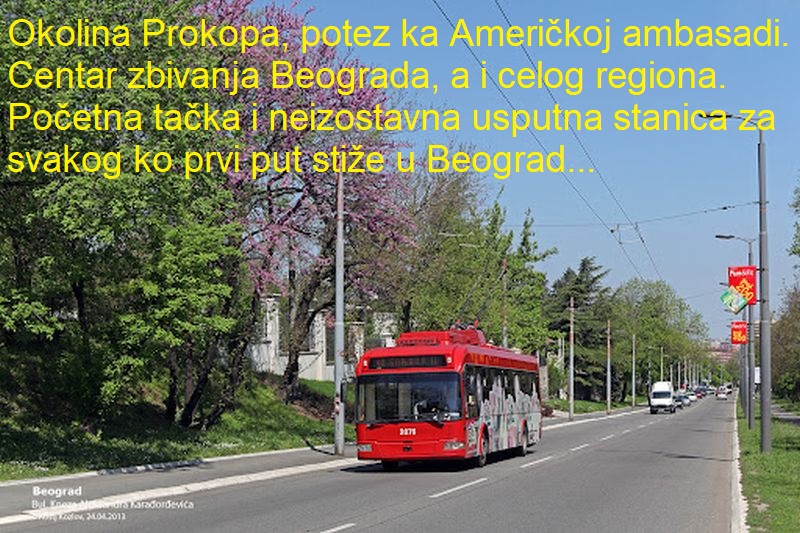 Dedinje.jpg