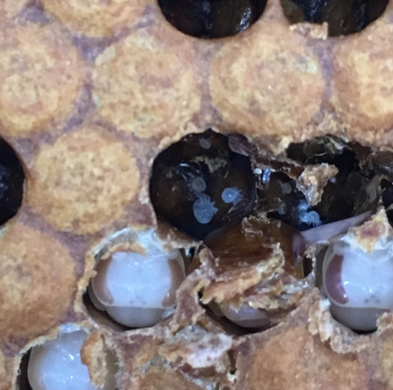 03CEB9F2-2283-4A19-ADCF-AAC6A3FDC045