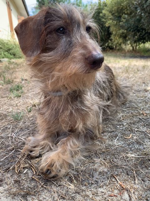 [Image: 6-BEAC2-F0-A9-ED-4-A3-E-8-B69-CBECEB9-A1-C29.jpg]