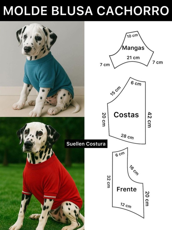 Amostra 4